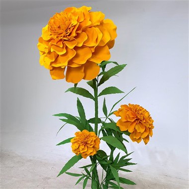 الورق الزهور MARIGOLD