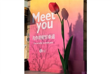 زهور ورقية كبيرة الحجم